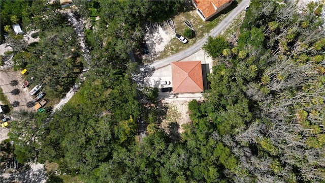 4843 S Acree Pt, Homosassa, FL 34448 - photo 19