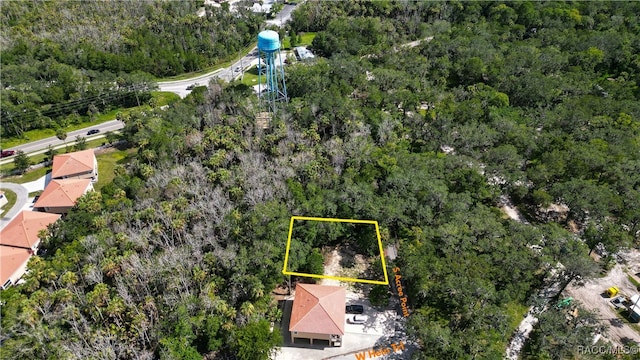 4843 S Acree Pt, Homosassa, FL 34448 - photo 1