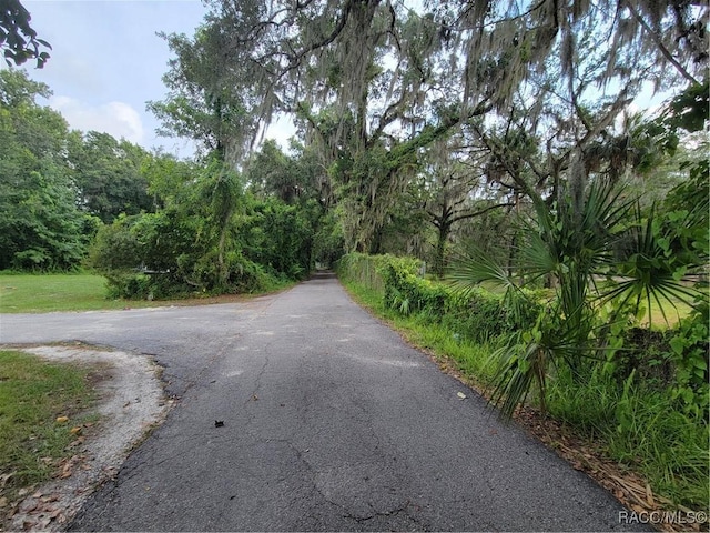 4843 S Acree Pt, Homosassa, FL 34448 - photo 5