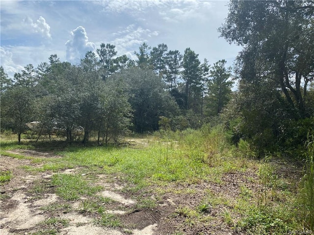 5739 S Calder Pt, Homosassa FL, 34446 land for sale