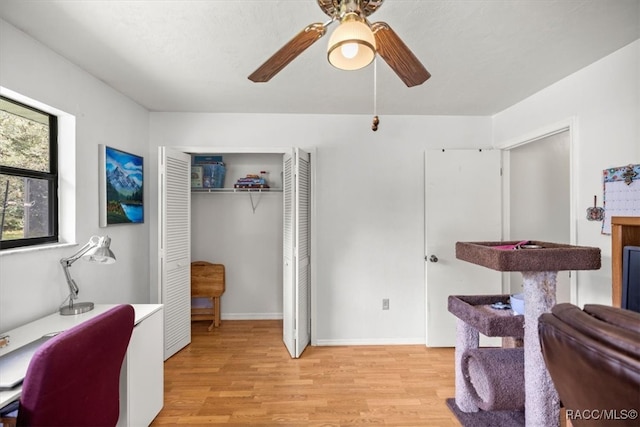 office space with ceiling fan and light wood-type flooring