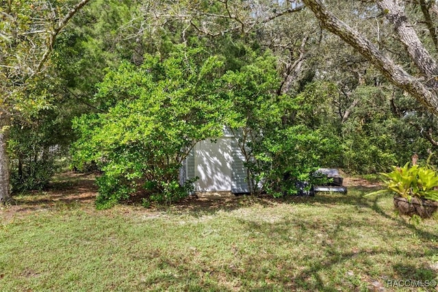 view of yard with a shed