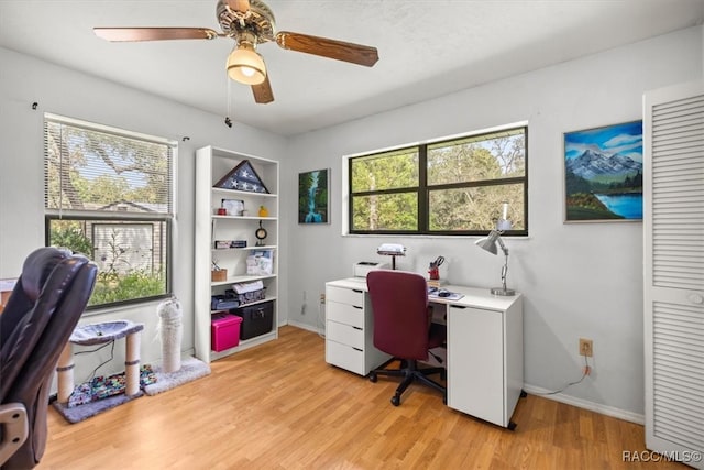 office area with ceiling fan, light hardwood / wood-style floors, and a healthy amount of sunlight