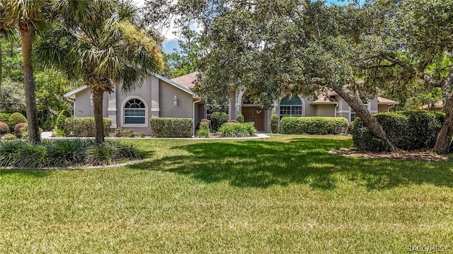 view of front of home with a front yard