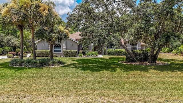 view of front of home featuring a front lawn