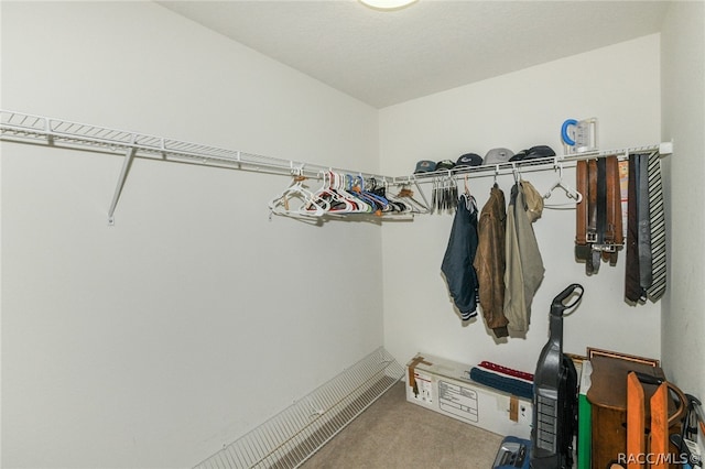 walk in closet with carpet