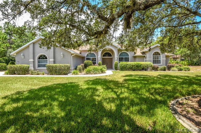 ranch-style house with a front yard