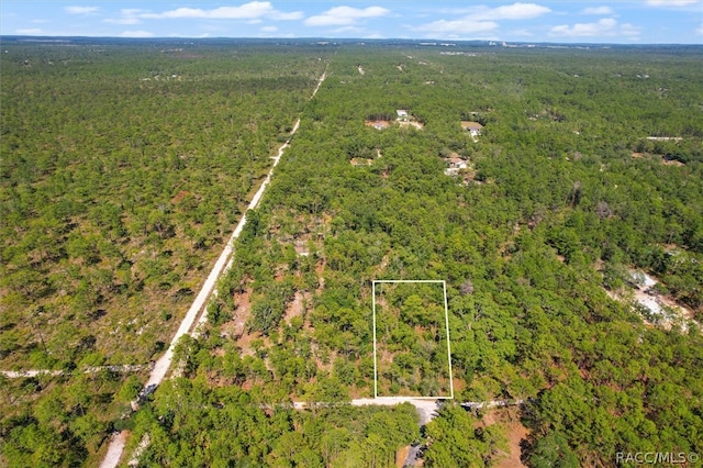 16452 Hardeman Jct, Weeki Wachee FL, 34614 land for sale