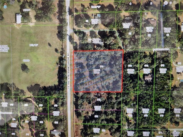 8859 S Pleasant Grove Rd, Inverness FL, 34452 land for sale