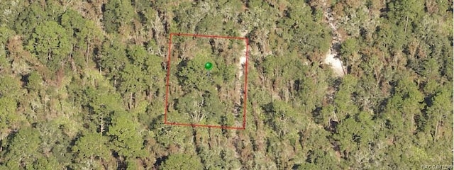 Listing photo 2 for 97 N Quiet Pines Pt, Crystal River FL 34429