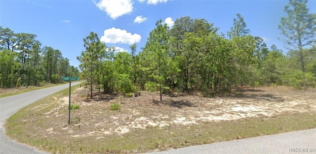 Listing photo 2 for Address Not Disclosed, Citrus Springs FL 34433