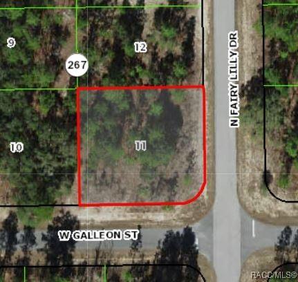 Address Not Disclosed, Citrus Springs FL, 34433 land for sale