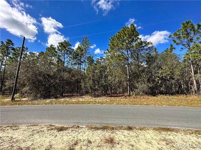 10 Apple Ct, Homosassa, FL 34446