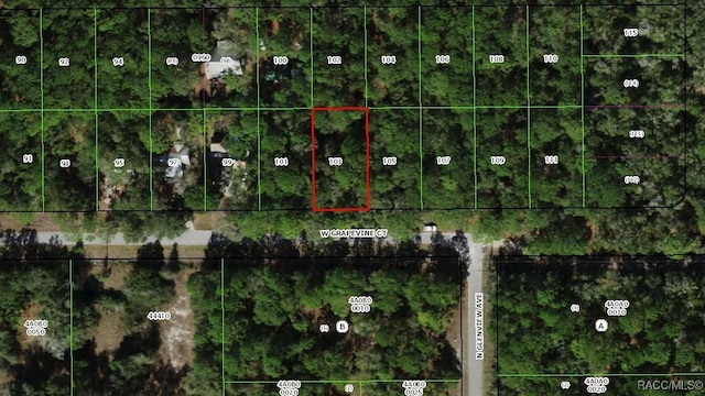 2851 W Grapevine Ct, Dunnellon FL, 34433 land for sale