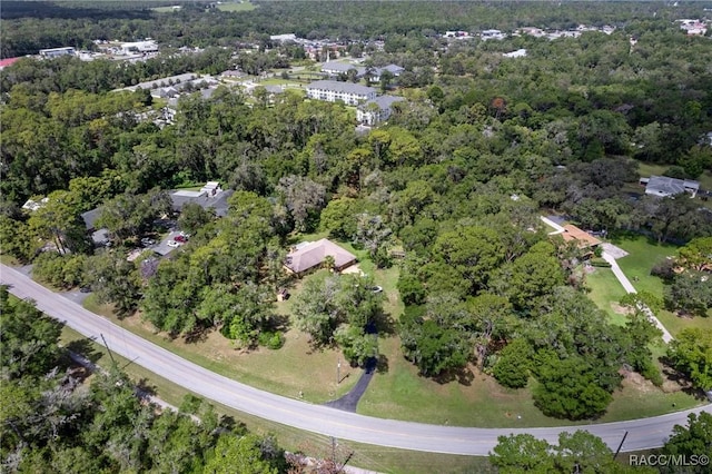 1879 Forest Dr, Inverness, FL 34453 - photo 49