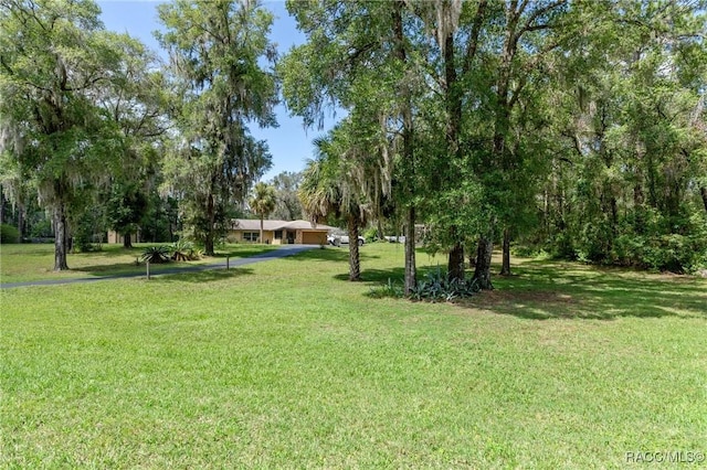 1879 Forest Dr, Inverness, FL 34453 - photo 3