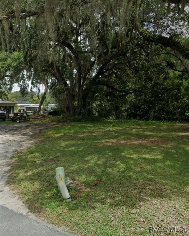 Listing photo 2 for TBD Cr 435 Highway, Lake Panasoffkee FL 33538