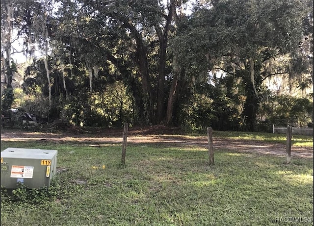 TBD Cr 435 Highway, Lake Panasoffkee FL, 33538 land for sale