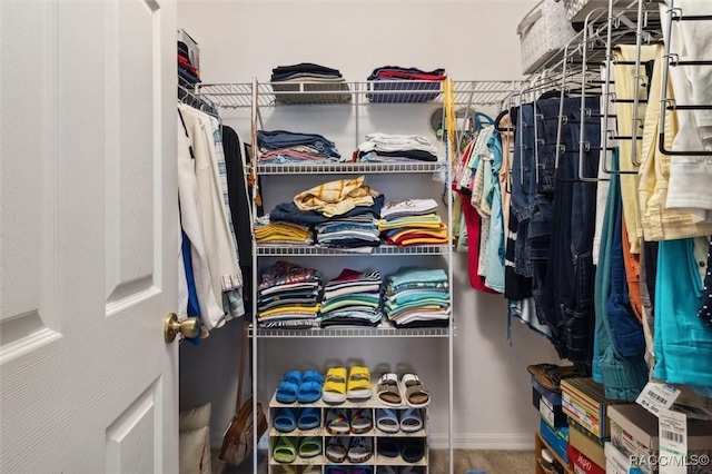 view of walk in closet