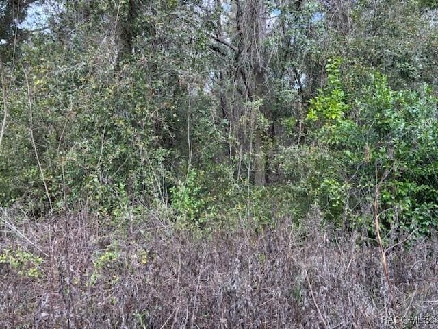 3711 E Beck St, Inverness FL, 34453 land for sale