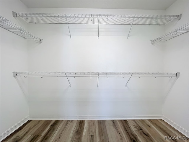 walk in closet featuring dark wood-type flooring