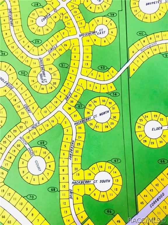 7 Hackberry Ct S, Homosassa, FL 34446
