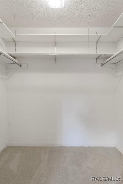 6580 E Glencoe St, Inverness, FL 34452 - walk in closet with carpet flooring
