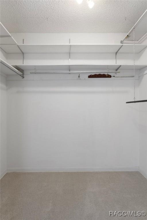 6580 E Glencoe St, Inverness, FL 34452 - walk in closet with carpet