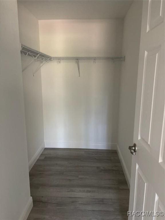 spacious closet featuring wood finished floors