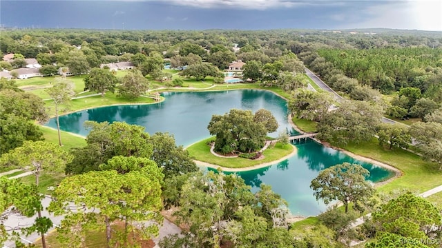 6301 W Glynborne Loop, Crystal River, FL 34429 - photo 36