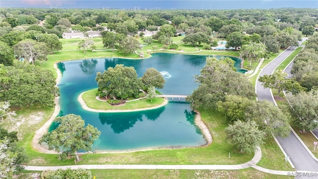 6301 W Glynborne Loop, Crystal River, FL 34429 - photo 37