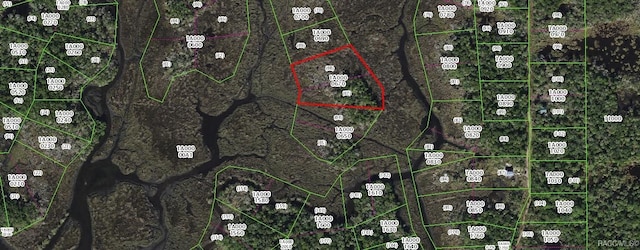 13387 Sportsmans Is, Homosassa, FL 34429 - photo 4