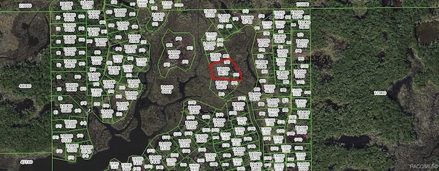 13387 Sportsmans Is, Homosassa, FL 34429 - photo 3