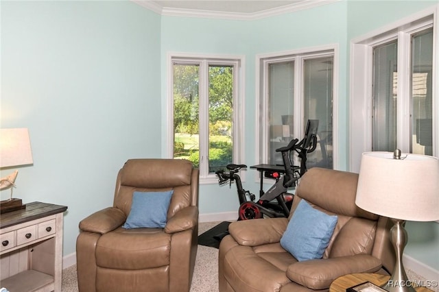 living area featuring crown molding