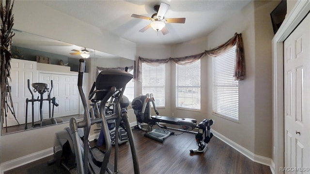 workout room featuring ceiling fan, baseboards, and wood finished floors