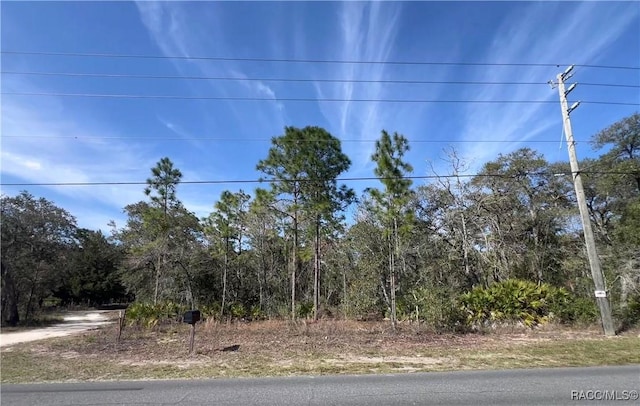 5715 W Oaklawn St, Homosassa FL, 34446 land for sale