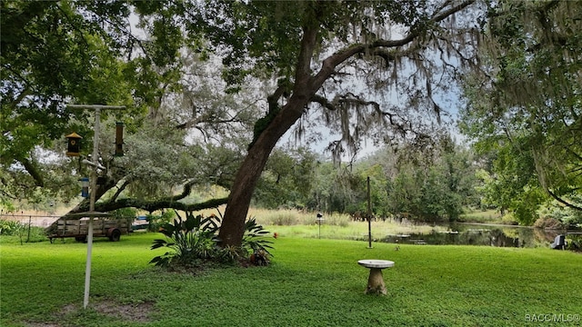 view of property's community with a yard and a water view