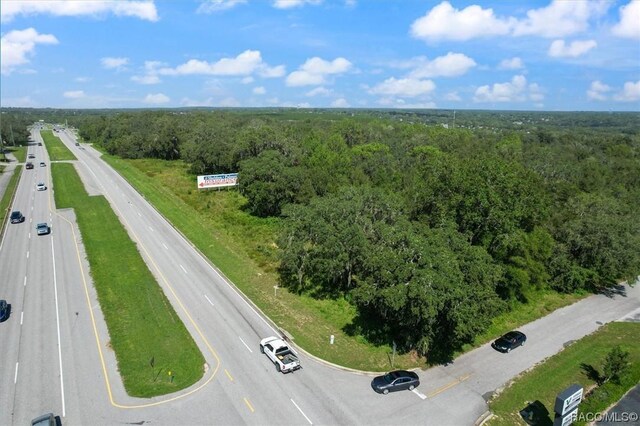 2536 N Reston Ter, Hernando, FL 34442