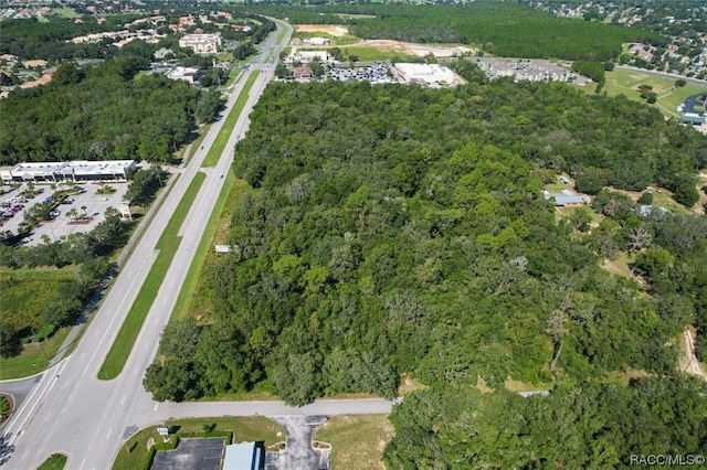 2536 N Reston Ter, Hernando, FL 34442