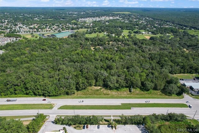 2536 N Reston Ter, Hernando, FL 34442