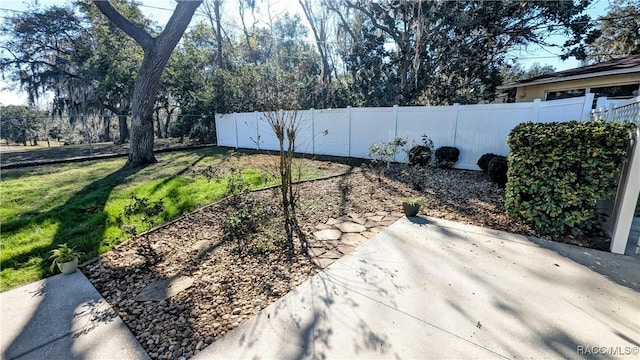 view of yard with a patio area