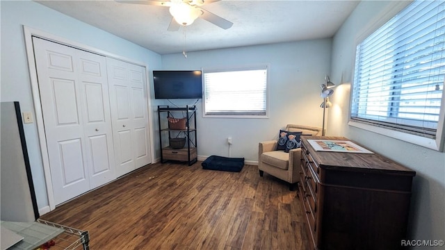 living area with dark wood-type flooring, ceiling fan, and a healthy amount of sunlight