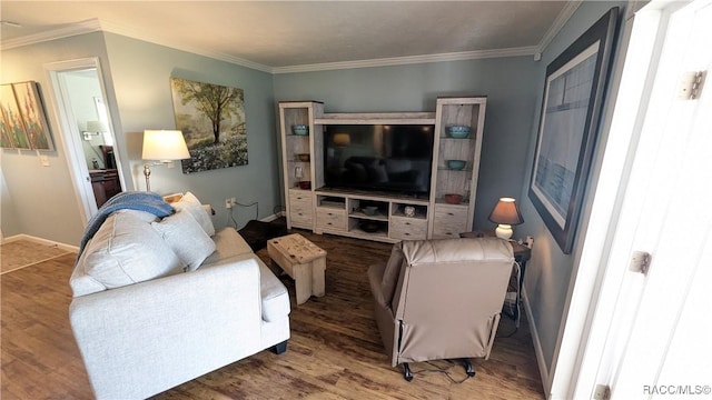 living room with crown molding and wood-type flooring