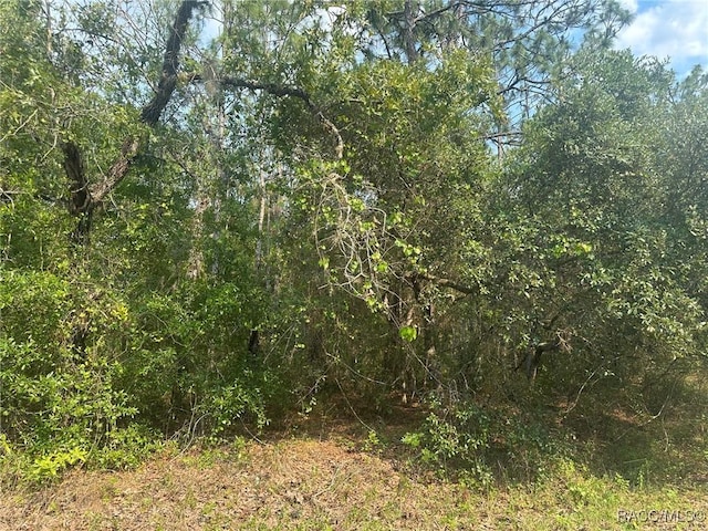 7 S Otis Ave, Lecanto, FL 34461