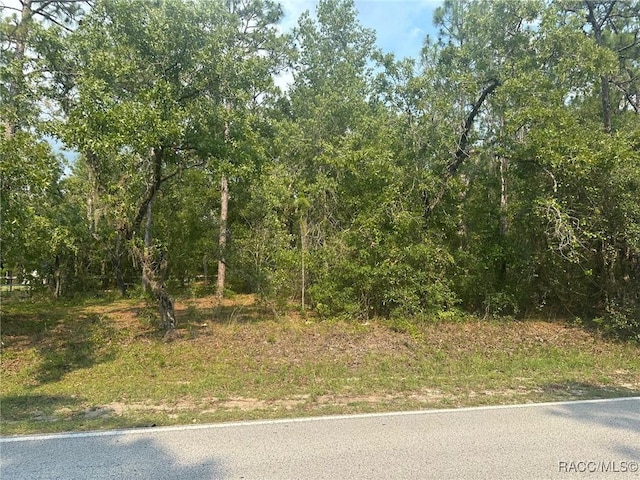 7 S Otis Ave, Lecanto, FL 34461