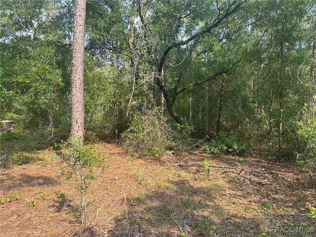 7 S Otis Ave, Lecanto, FL 34461