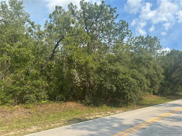 7 S Otis Ave, Lecanto, FL 34461