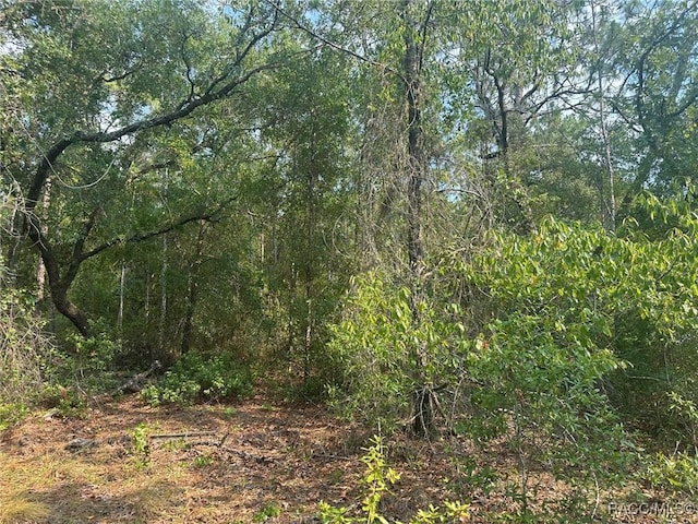 7 S Otis Ave, Lecanto, FL 34461
