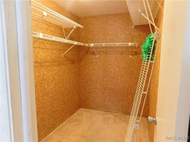 view of walk in closet