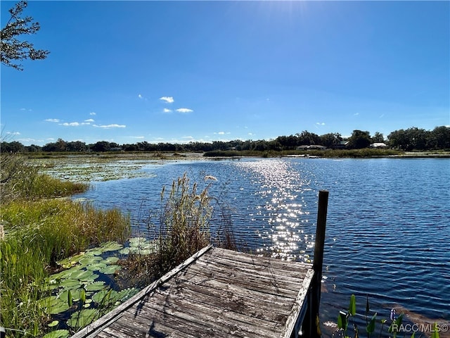 dock area featuring a water view